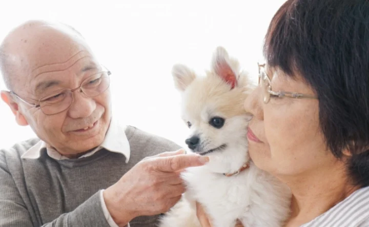 ペットの犬を抱え笑顔の老夫婦の写真