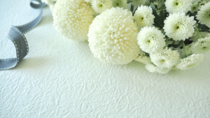 ポンポンマムの花