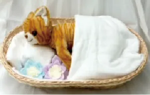 ペット専用の納棺バスケットに安置した様子の写真